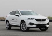 视觉效果出众！WEY VV7定制版北京车展亮相