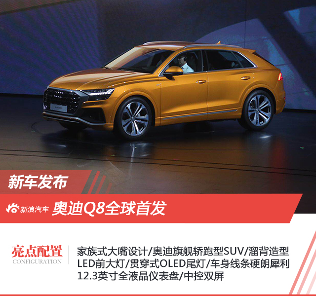 全新旗舰SUV 奥迪Q8全球首发