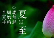 夏至已至 福特撼路者带你体验激情越野