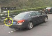保持舒适距离 SUV天逸倡导文明行车