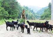 东风公司获评2017年度湖北省直单位定点扶贫工作考评优秀单位