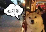 北鼻”一下全搞定！妈妈再也不担心我开车手忙脚乱了