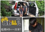 烤串儿参透了H9越野的奥秘