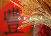 金秋丰收季非购不可 VIOS威驰给你好机“惠”