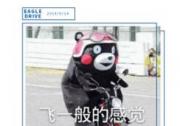 鹰驾科技360环视护航绿能达纯电动公交车