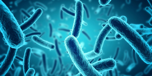 microbes-websiteheader-1000x500.jpg