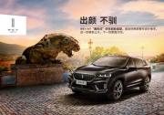 挑花眼的SUV市场 为什么不选合资品牌而选择他