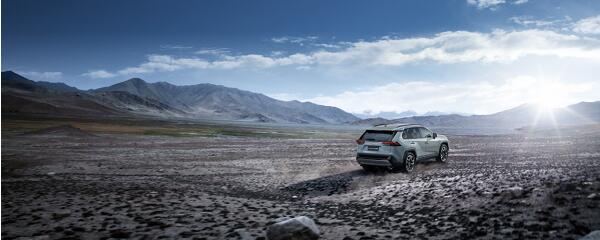 RAV4s