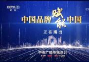 中国品牌赋能中国经济|央视财经“对话”吉利总裁安聪慧