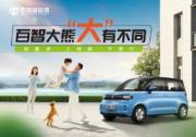 百智大熊来袭，如何迅速填补城乡空白？
