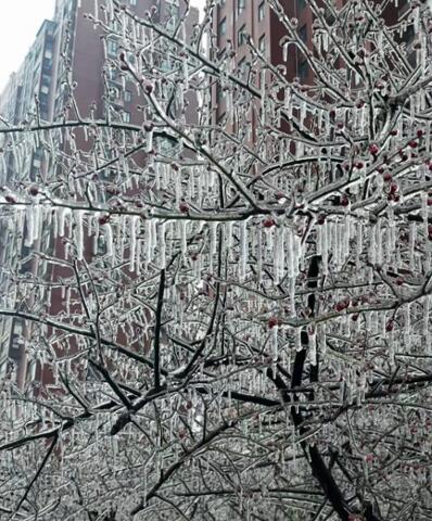 冻雨冰雪封路？全新一代CR-V让你告别“人在囧途”