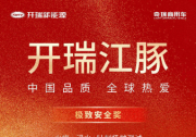 再度登顶！开瑞江豚再次斩获安全类大奖
