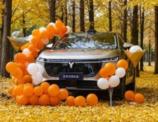 全新岚图知音车主在北平银杏大道提车 车企还顺带扫了尾