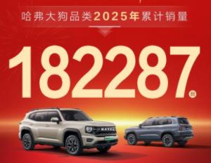 哈弗狗品类销量再传捷报，2025年全年销量突破18万！