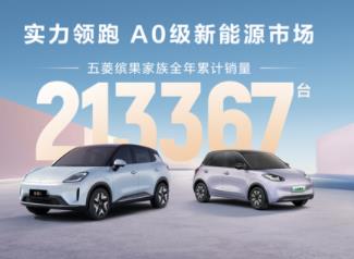 缤果家族2025全年热销213367辆，为用户提供缤纷代步新选择
