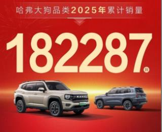 年度泛越野&方盒子销冠加冕 哈弗大狗以硬核实力守护冬季出行
