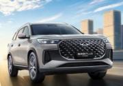 销量口碑双丰收，瑞虎8系如何成为中国家庭的首选冠军SUV
